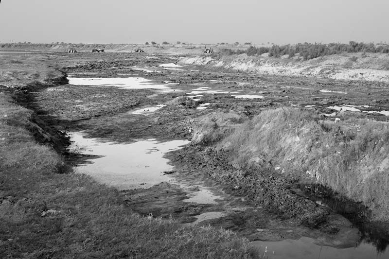 Impact of Green Revolution on Water Resources in India - Dry Yamuna river bed in NOIDA, Gautam Buddha Nagar district, Uttar Pradesh